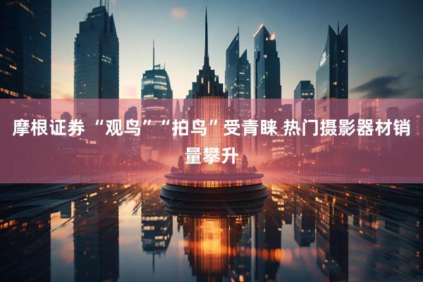 摩根证券 “观鸟”“拍鸟”受青睐 热门摄影器材销量攀升