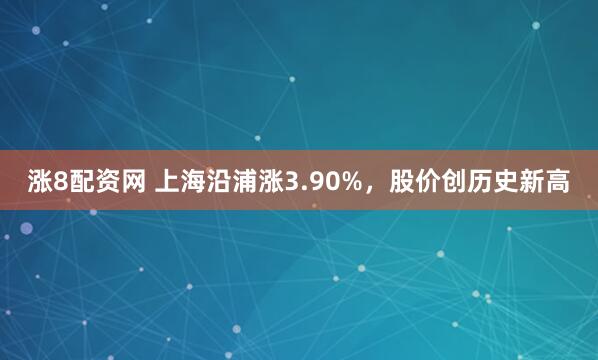 涨8配资网 上海沿浦涨3.90%，股价创历史新高