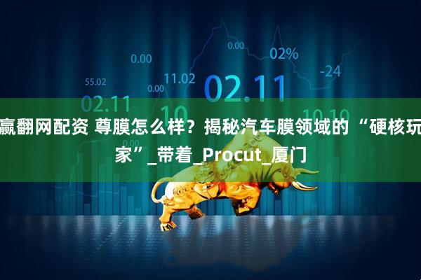 赢翻网配资 尊膜怎么样？揭秘汽车膜领域的 “硬核玩家”_带着_Procut_厦门