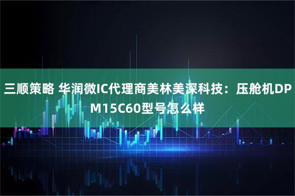三顺策略 华润微IC代理商美林美深科技：压舱机DPM15C60型号怎么样