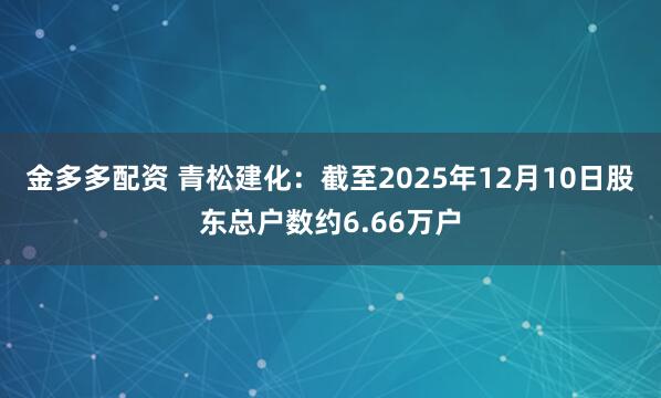 金多多配资 青松建化：截至2025年12月10日股东总户数约6.66万户